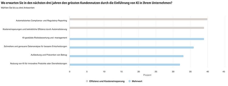 Grafik zeigt den Einsatz von KI in der Finanzbranche